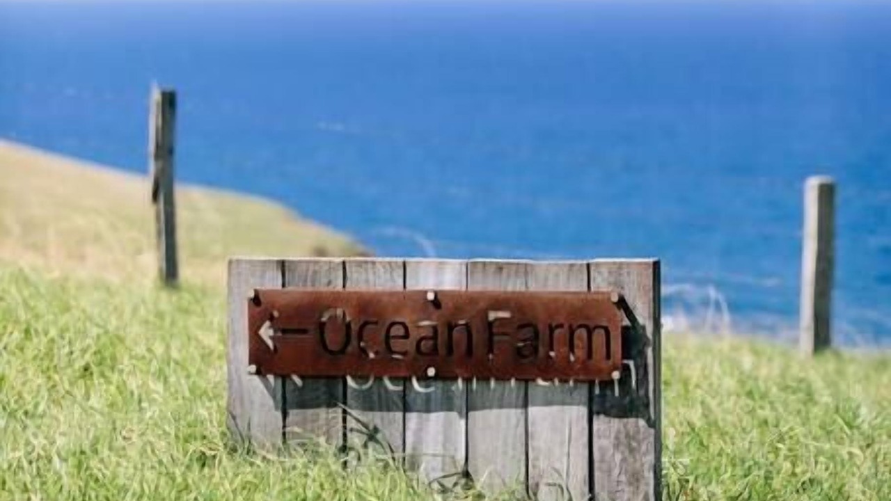 Photo of Others in Gerringong