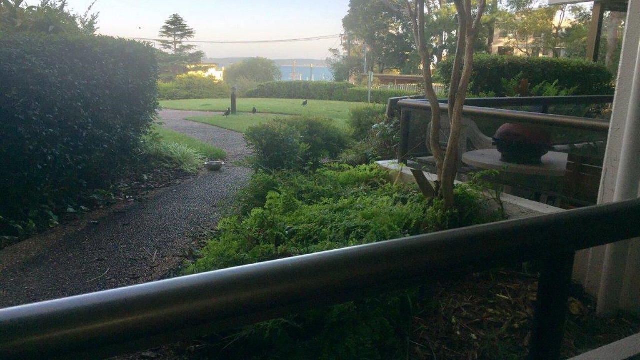 Photo of Outdoor in Nelson Bay