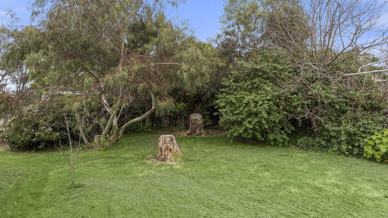 Photo of Outdoor in Apollo Bay