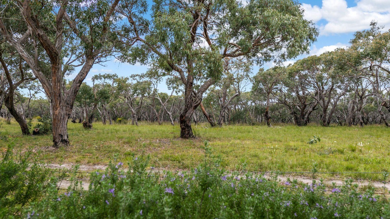 Photo of Outdoor in Anglesea