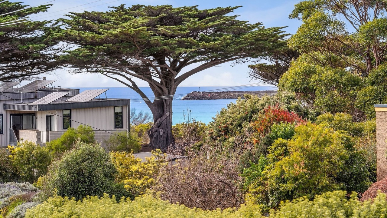 Photo of Outdoor in Apollo Bay