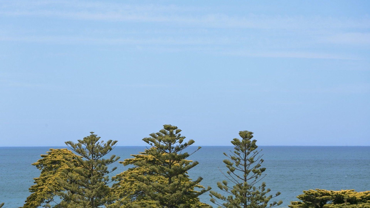 Photo of Others in Lorne
