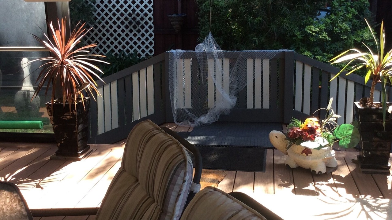 Photo of Patio Balcony in Cape Paterson