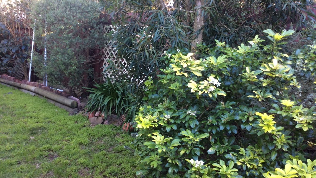 Photo of Outdoor in Cape Paterson