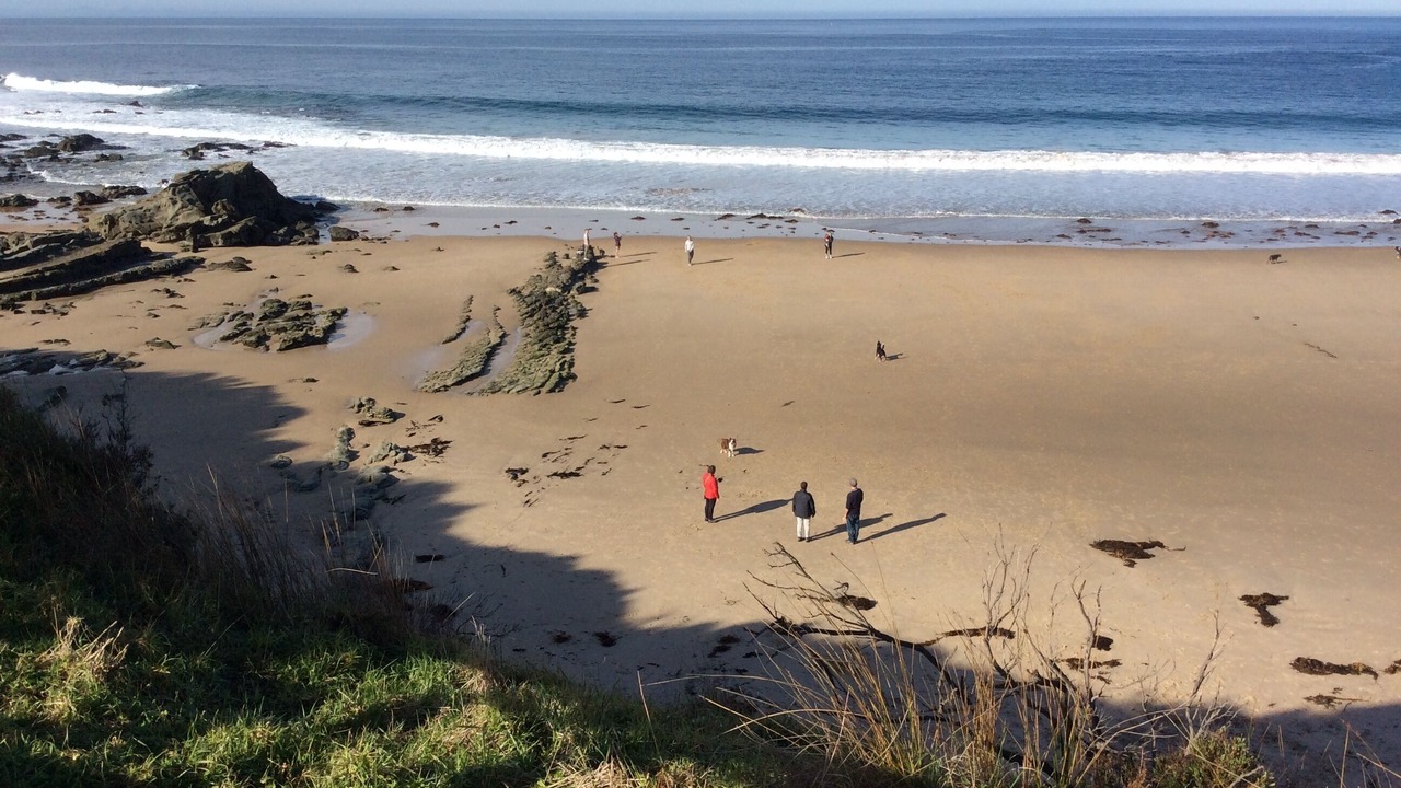Photo of Others in Cape Paterson