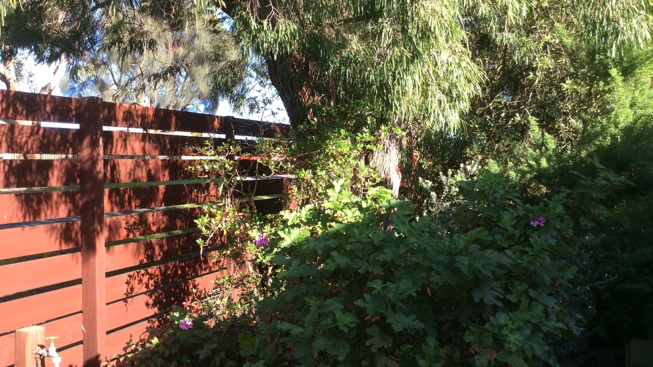 Photo of Outdoor in Cape Paterson