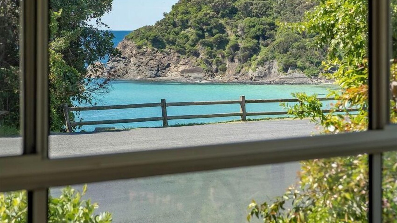 Photo of Others in Seal Rocks