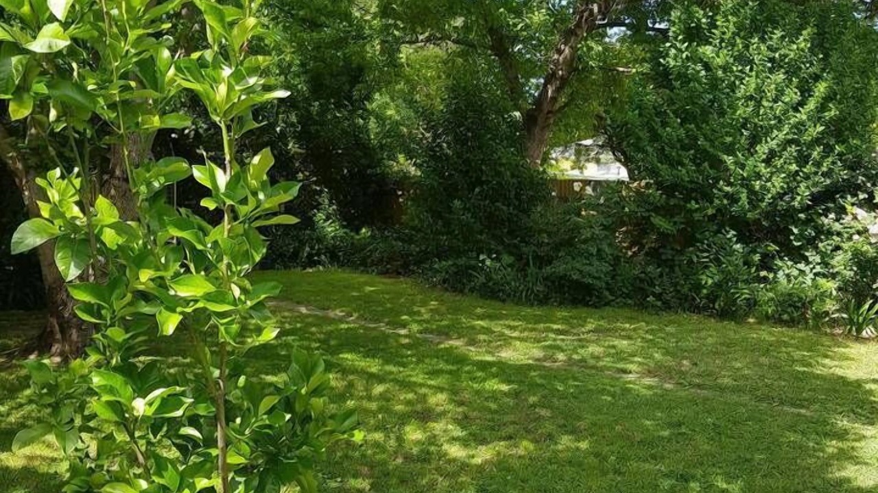 Photo of Outdoor in Orange East