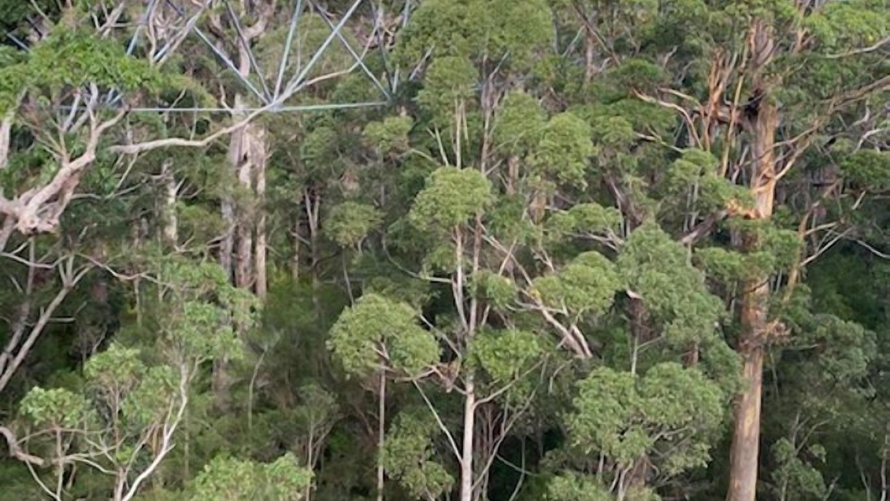 Photo of Outdoor in North Walpole