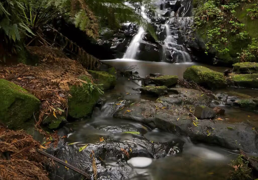 Photo of Others in Skenes Creek North