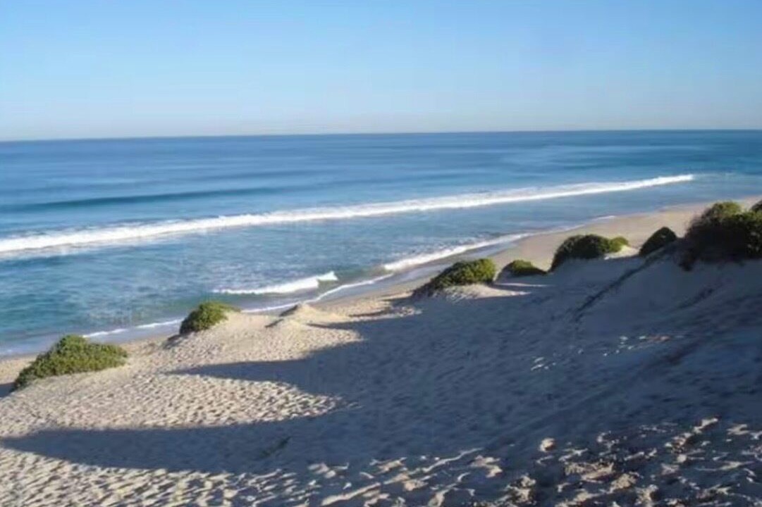 Photo of Others in Magenta Shores