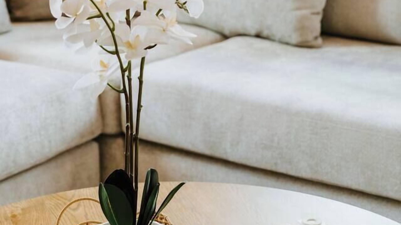 Photo of Livingroom in Central Mudgee