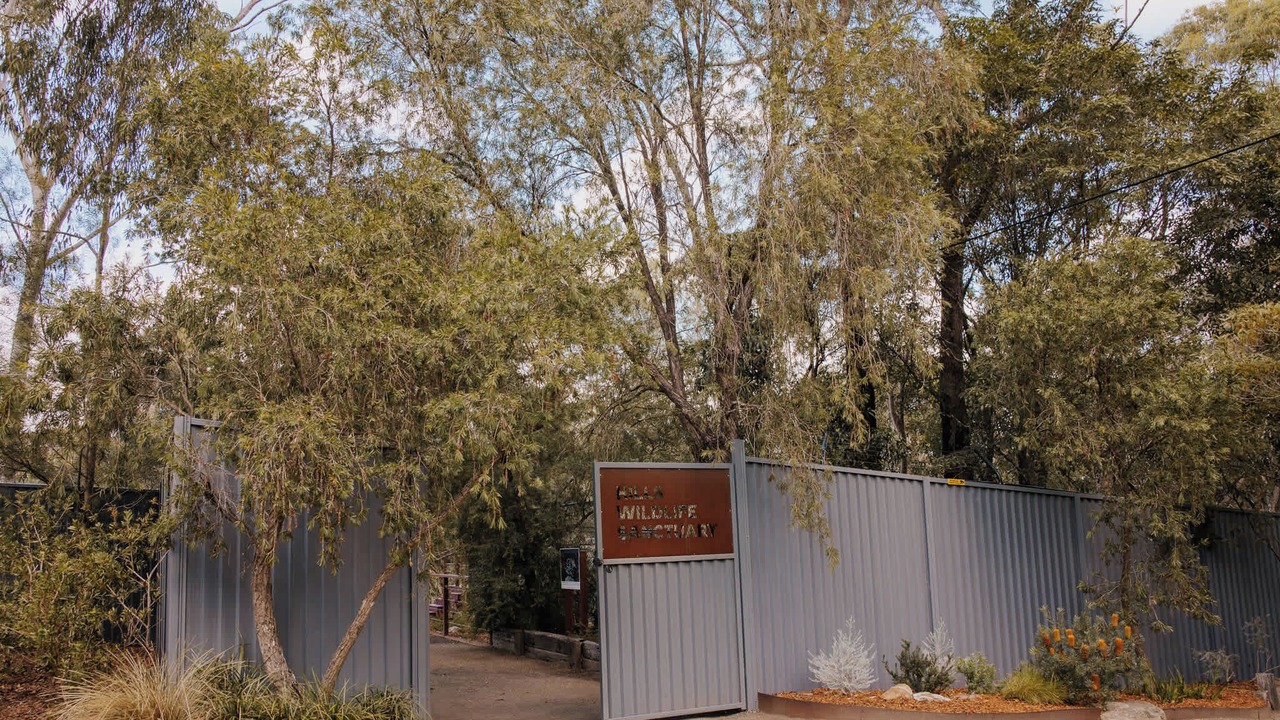 Photo of Outdoor in Dural
