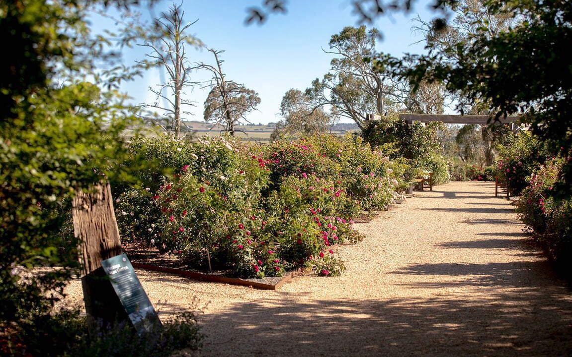 Photo of Outdoor in Armidale