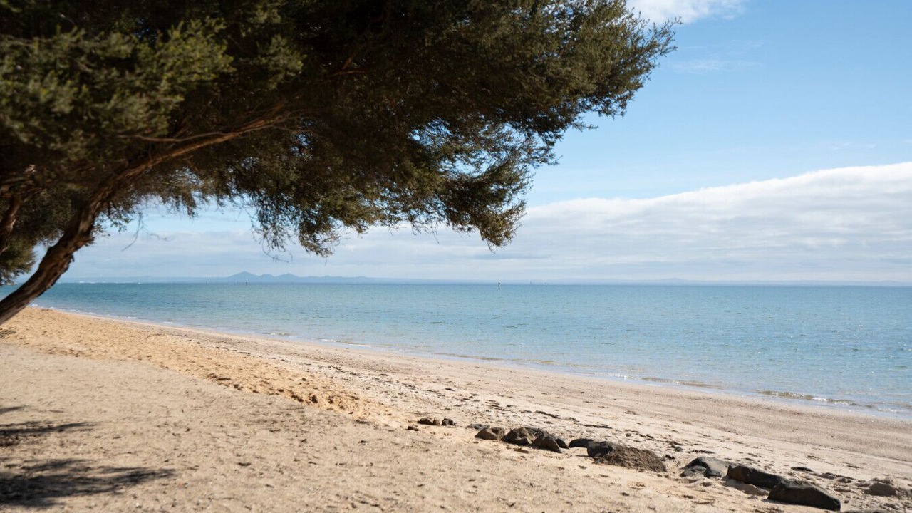 Photo of Others in Portarlington