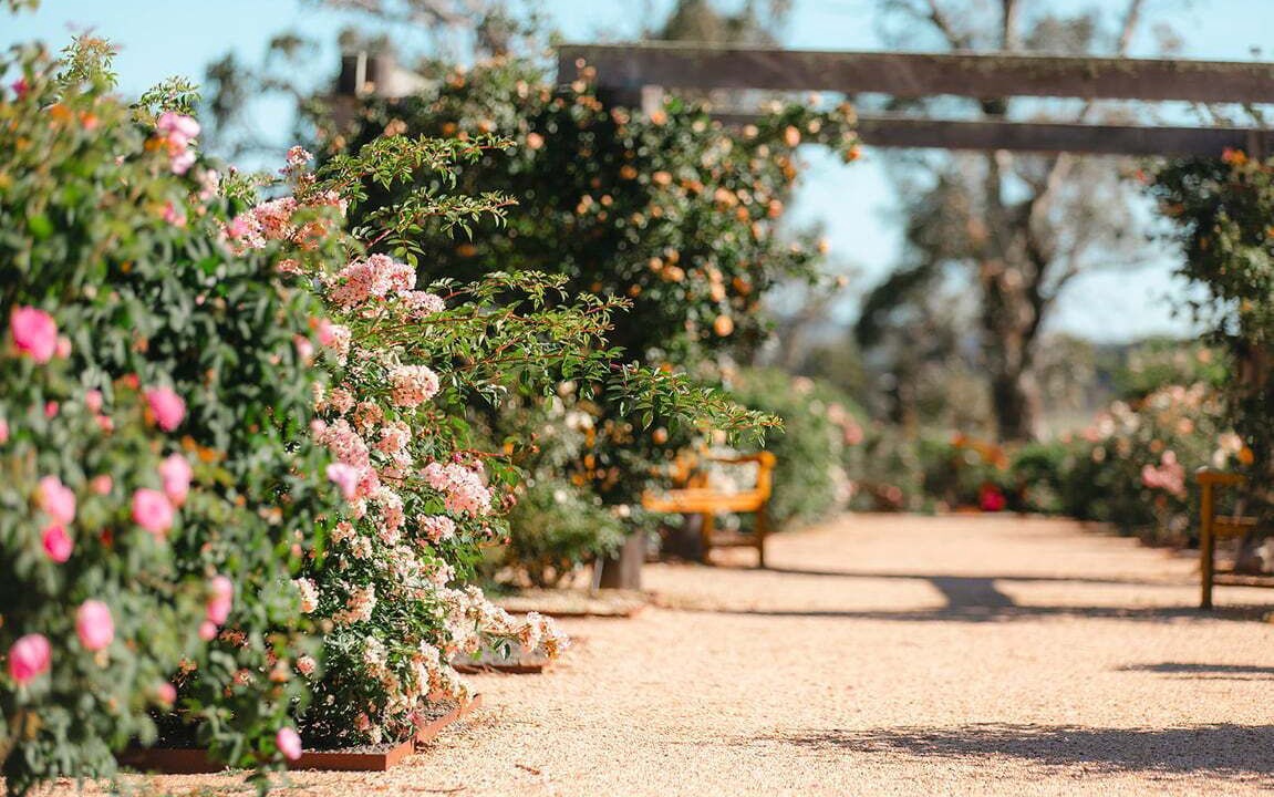 Photo of Outdoor in Armidale