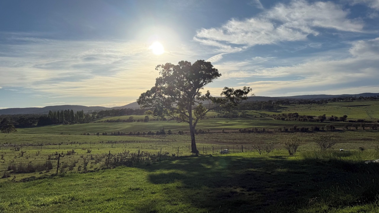 Photo of Others in Kingsdale