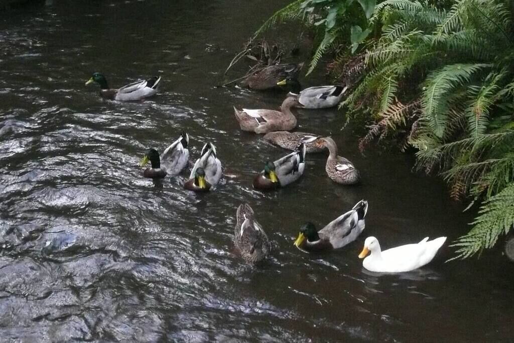 Photo of Others in Buxton