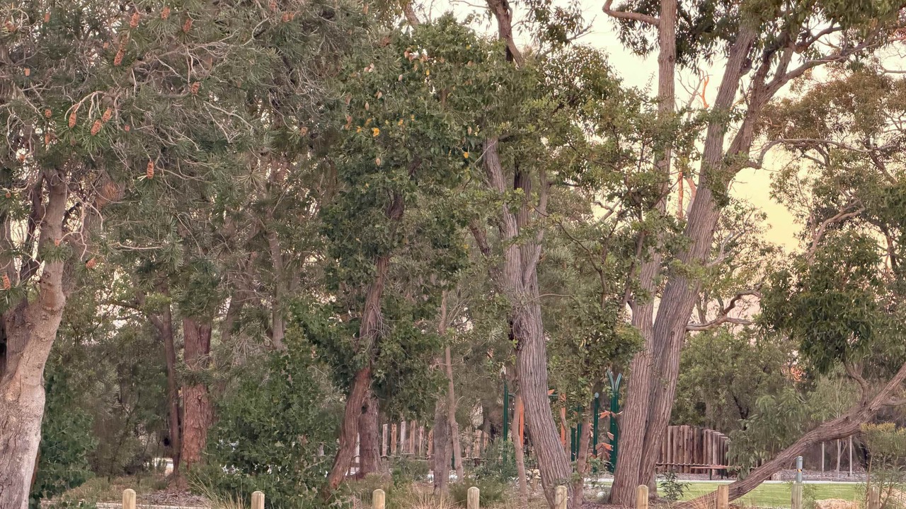 Photo of Others in Coodanup