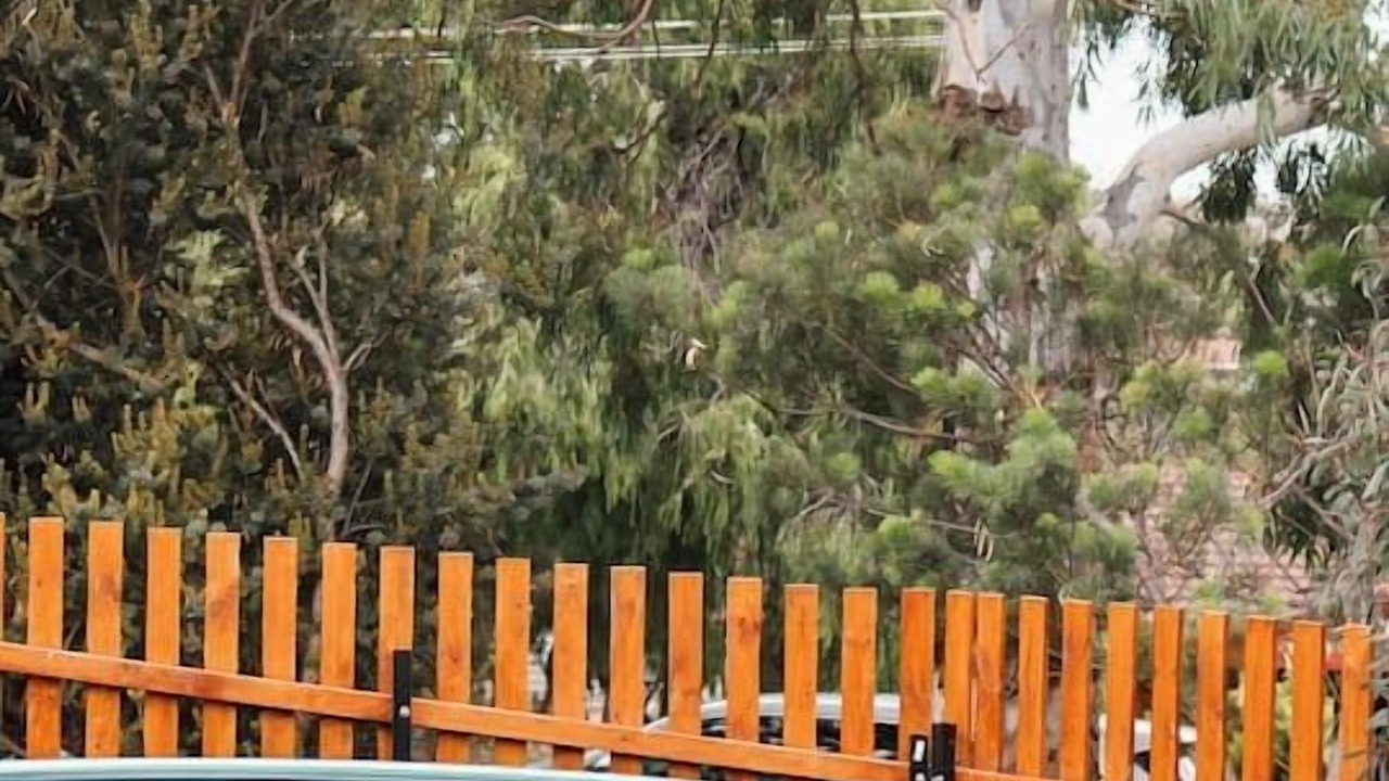 Photo of Outdoor in Normanville