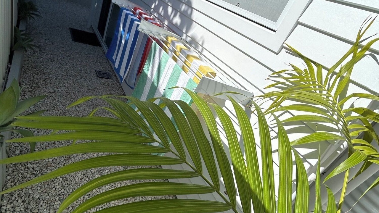 Photo of Outdoor in Port Macquarie