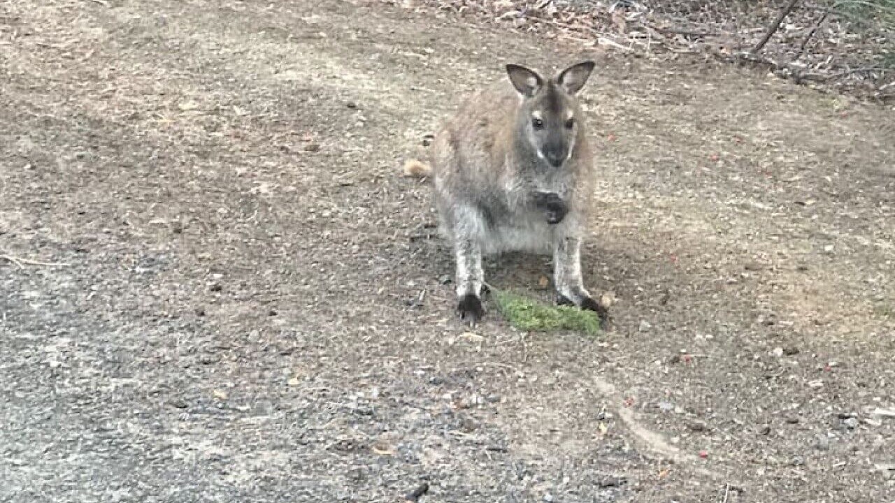 Photo of Others in Coningham