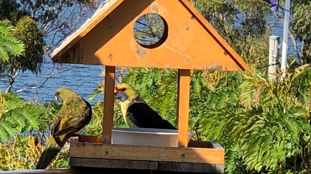 Photo of Others in Coningham