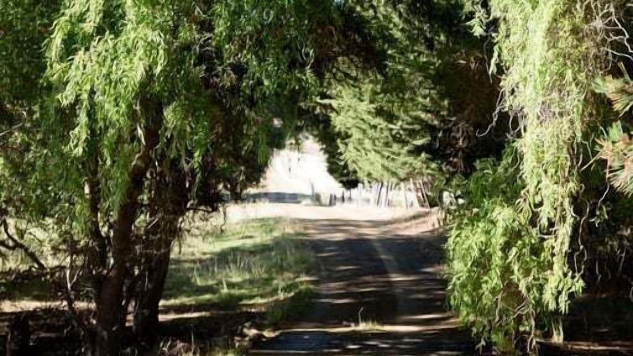 Photo of Others in Black Hills