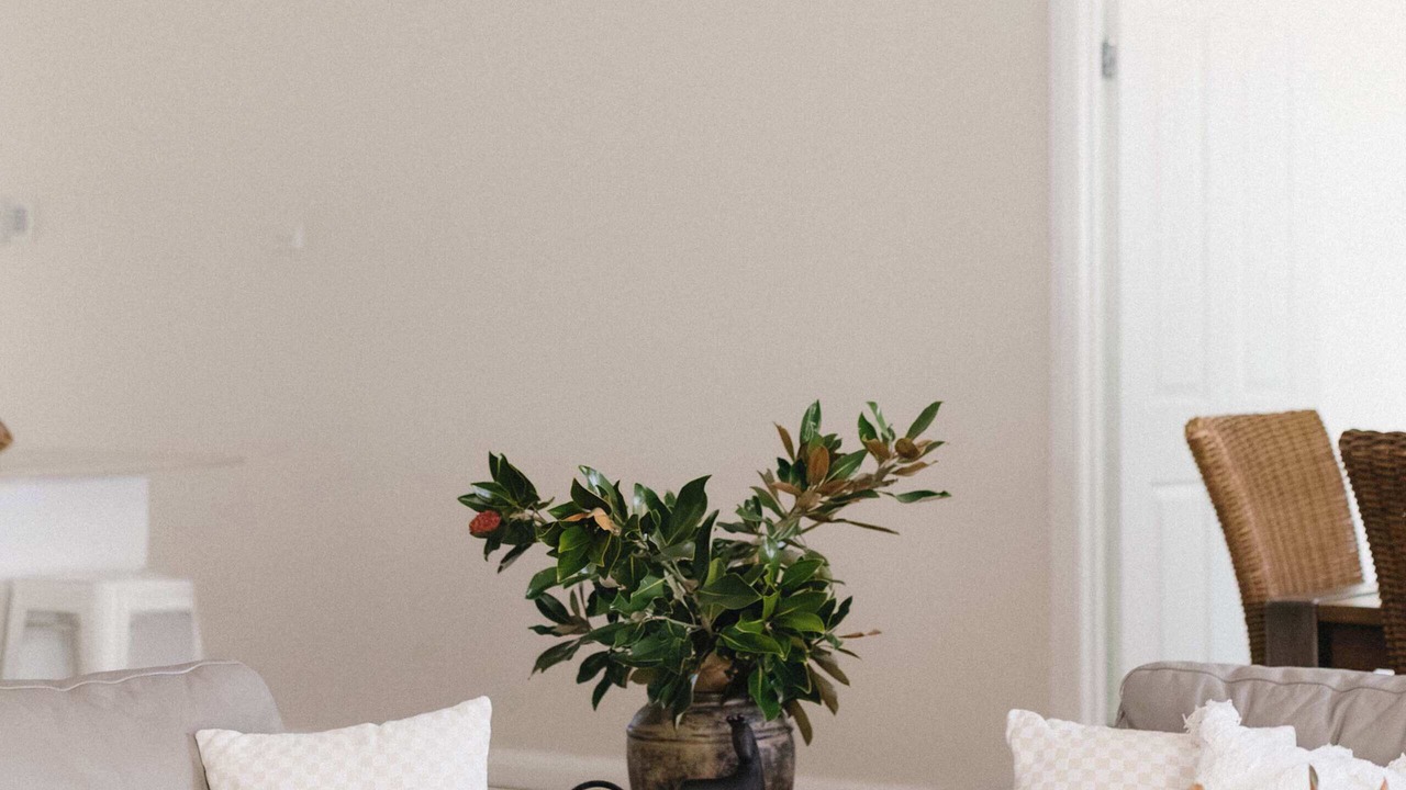 Photo of Livingroom in Pokolbin