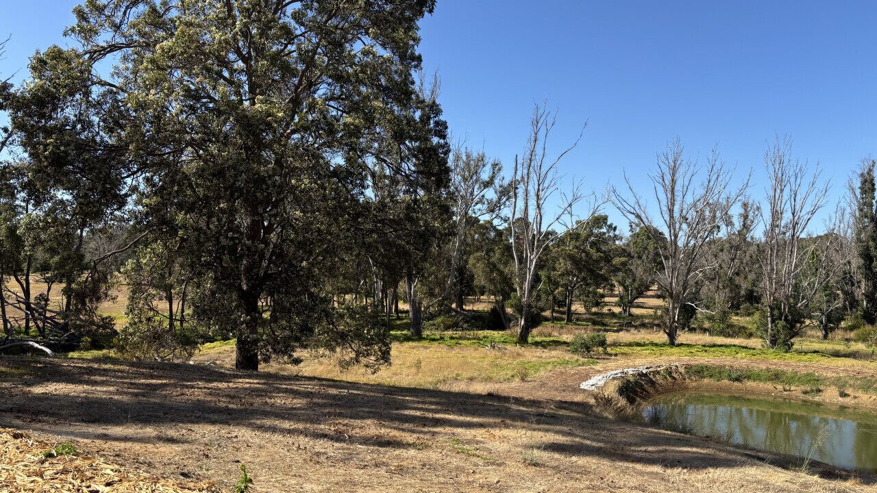 Photo of Others in Nannup