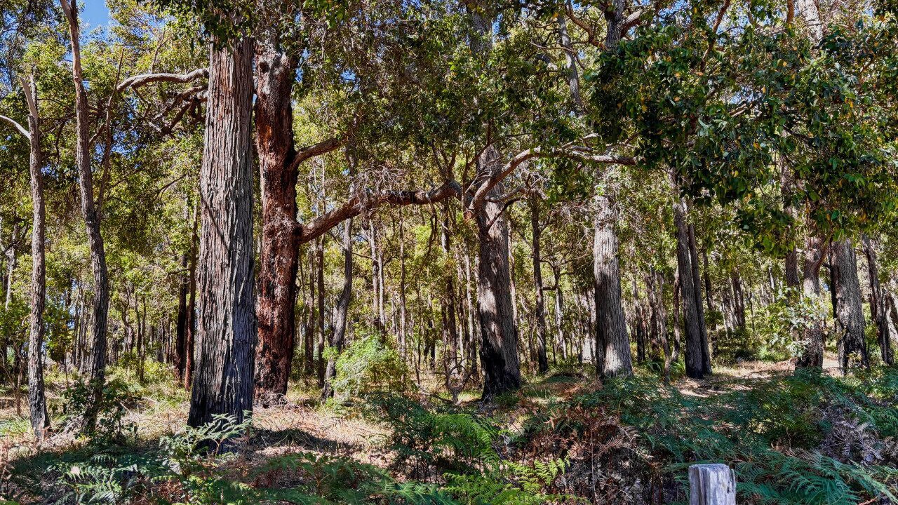 Photo of Others in Nannup