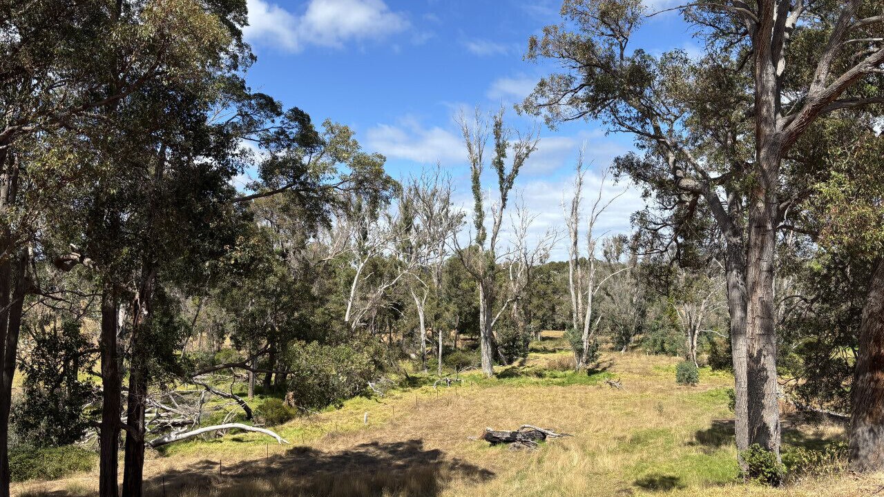 Photo of Others in Nannup