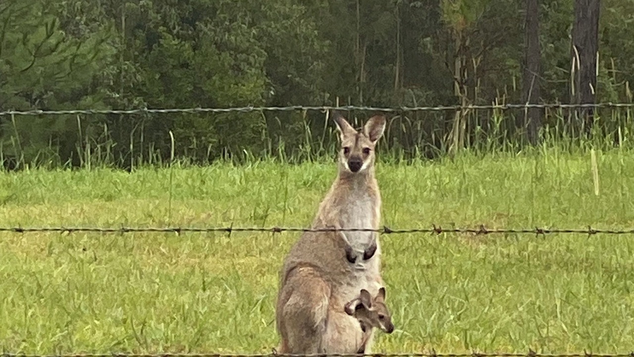 Photo of Others in Rainbow Flat