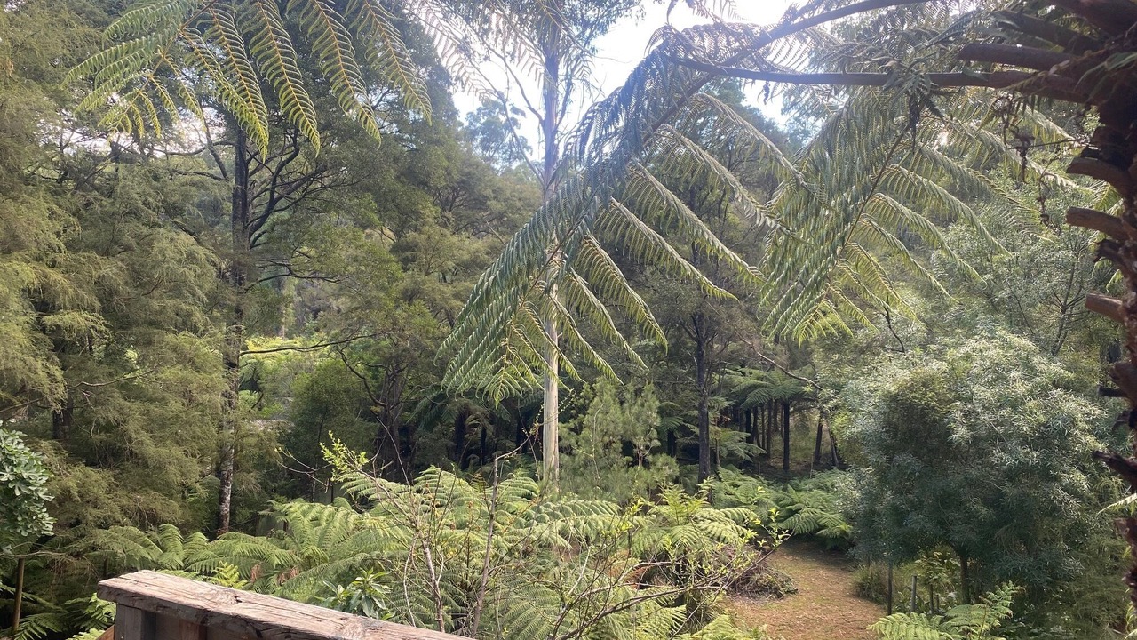 Photo of Others in East Warburton