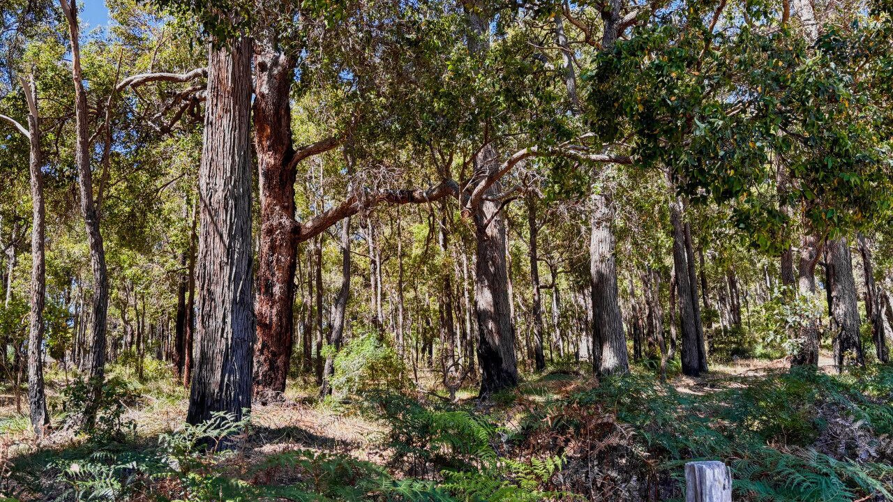 Photo of Others in Nannup