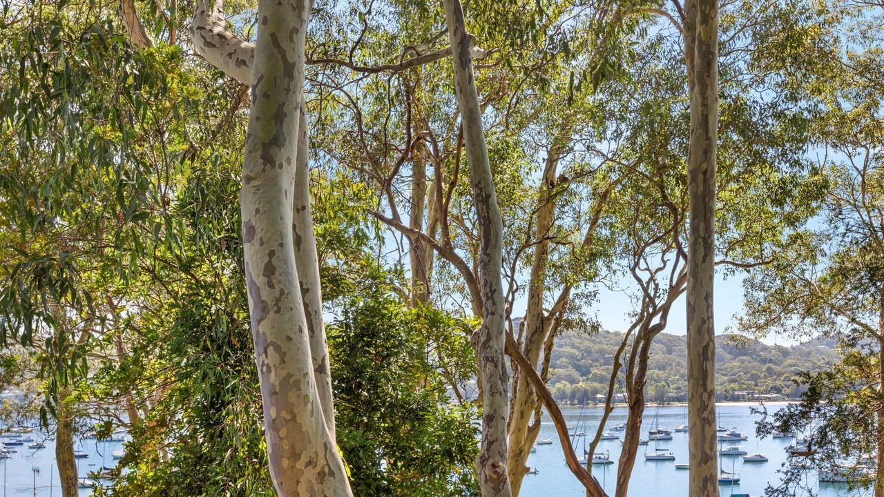Photo of Others in Avalon Beach