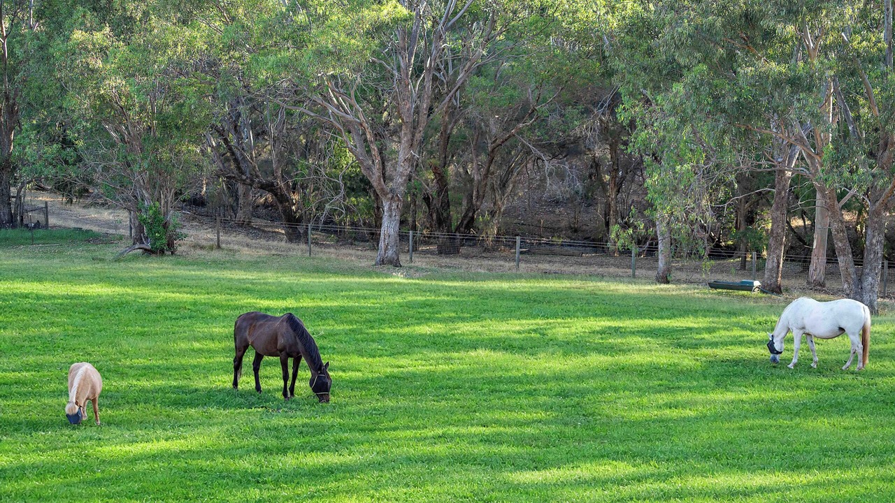 Photo of Others in Bullsbrook