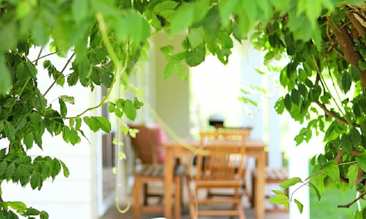Photo of Outdoor in Mozart