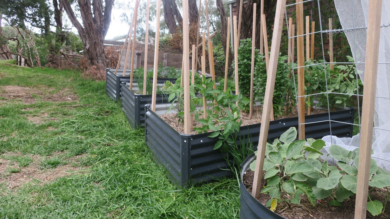 Photo of Outdoor in Sandy Point