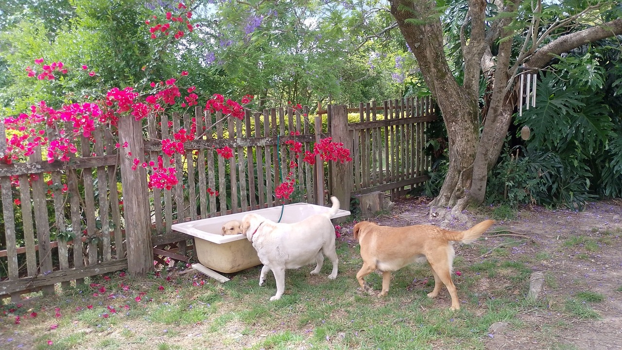 Photo of Outdoor in Elands