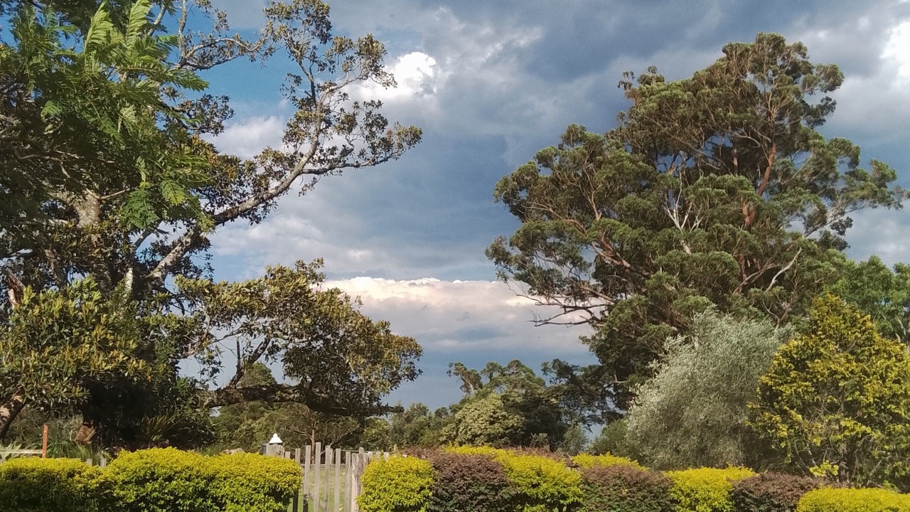 Photo of Outdoor in Elands
