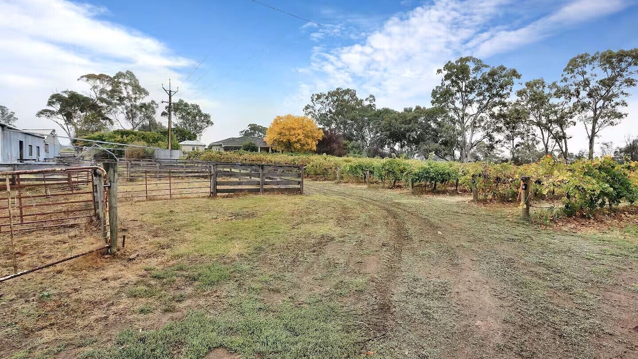 Photo of Outdoor in Sevenhill