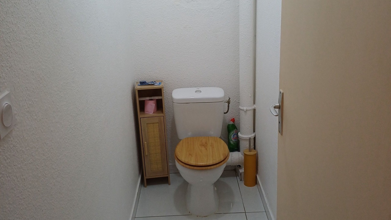 Photo of Bathroom in Kourou