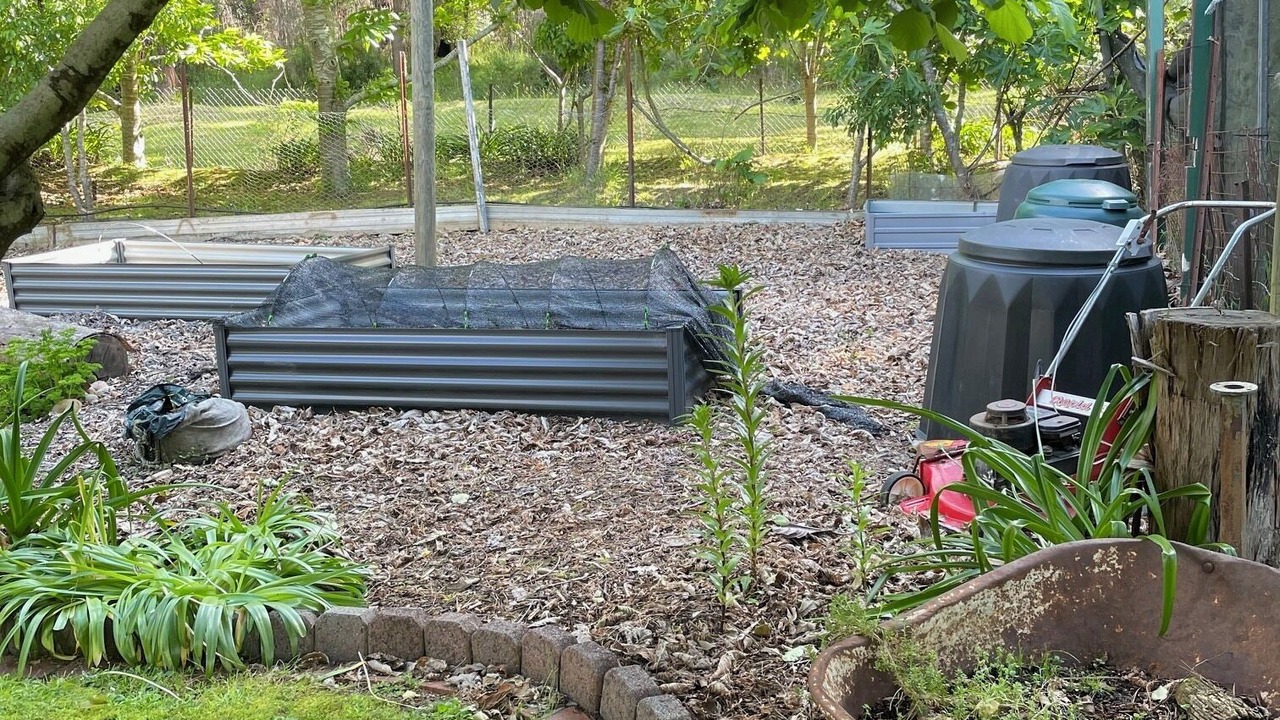 Photo of Outdoor in Noojee