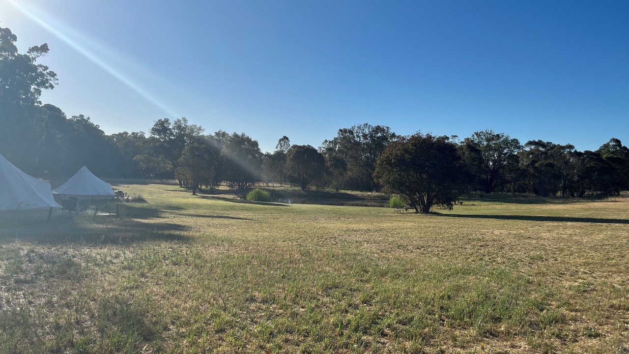 Photo of Others in Yornup