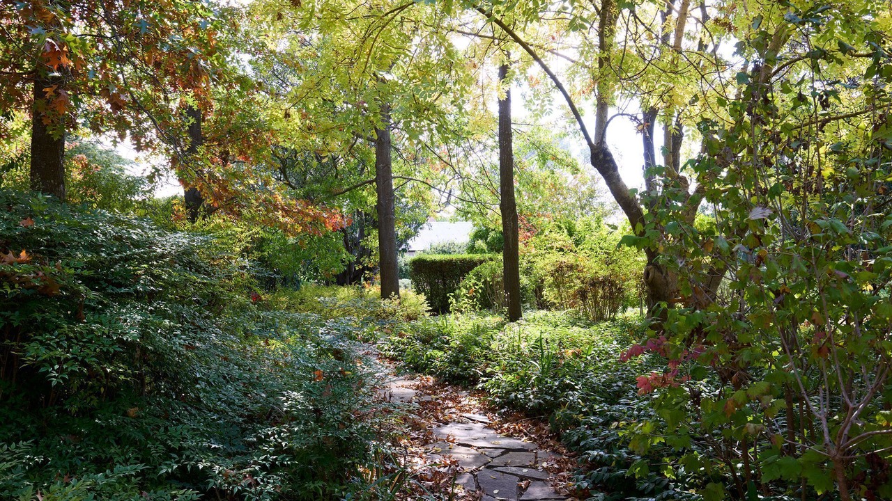 Photo of Outdoor in Gurrundah