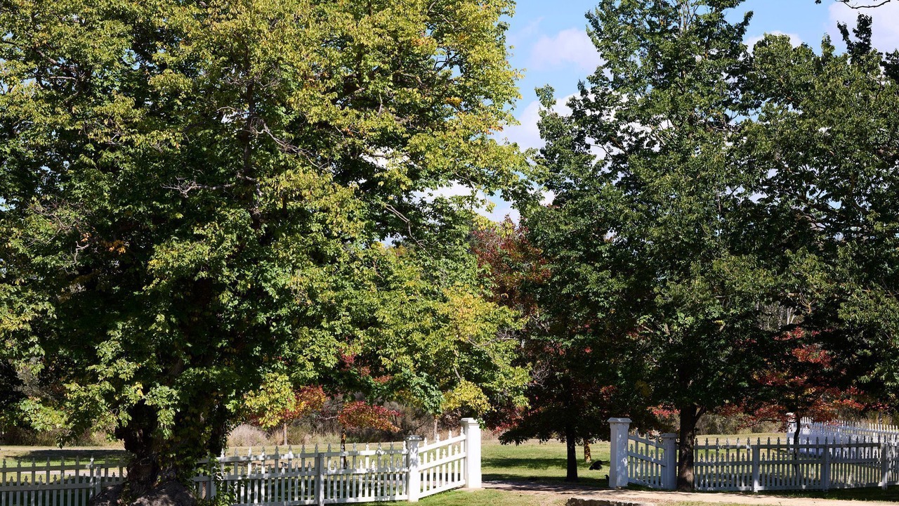 Photo of Outdoor in Gurrundah