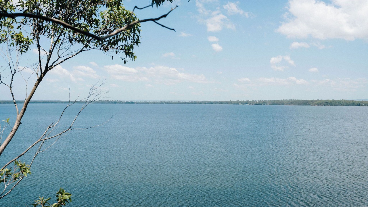 Photo of Others in Lake Munmorah