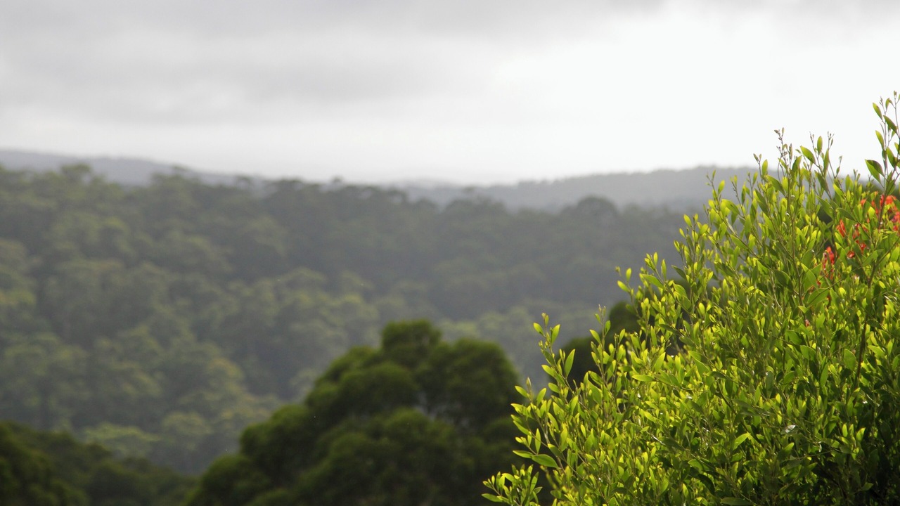 Photo of Others in Lorne