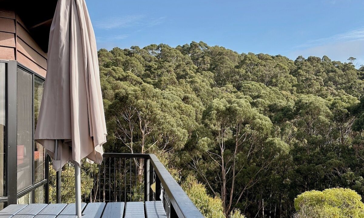 Photo of Outdoor in Lorne